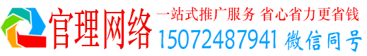临高官理百度如何推广